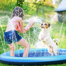 Piscina para cães e gatos