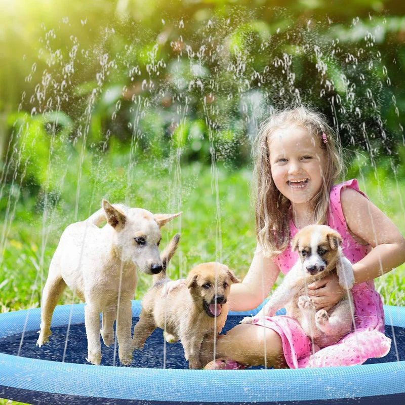 Piscina para cães e gatos